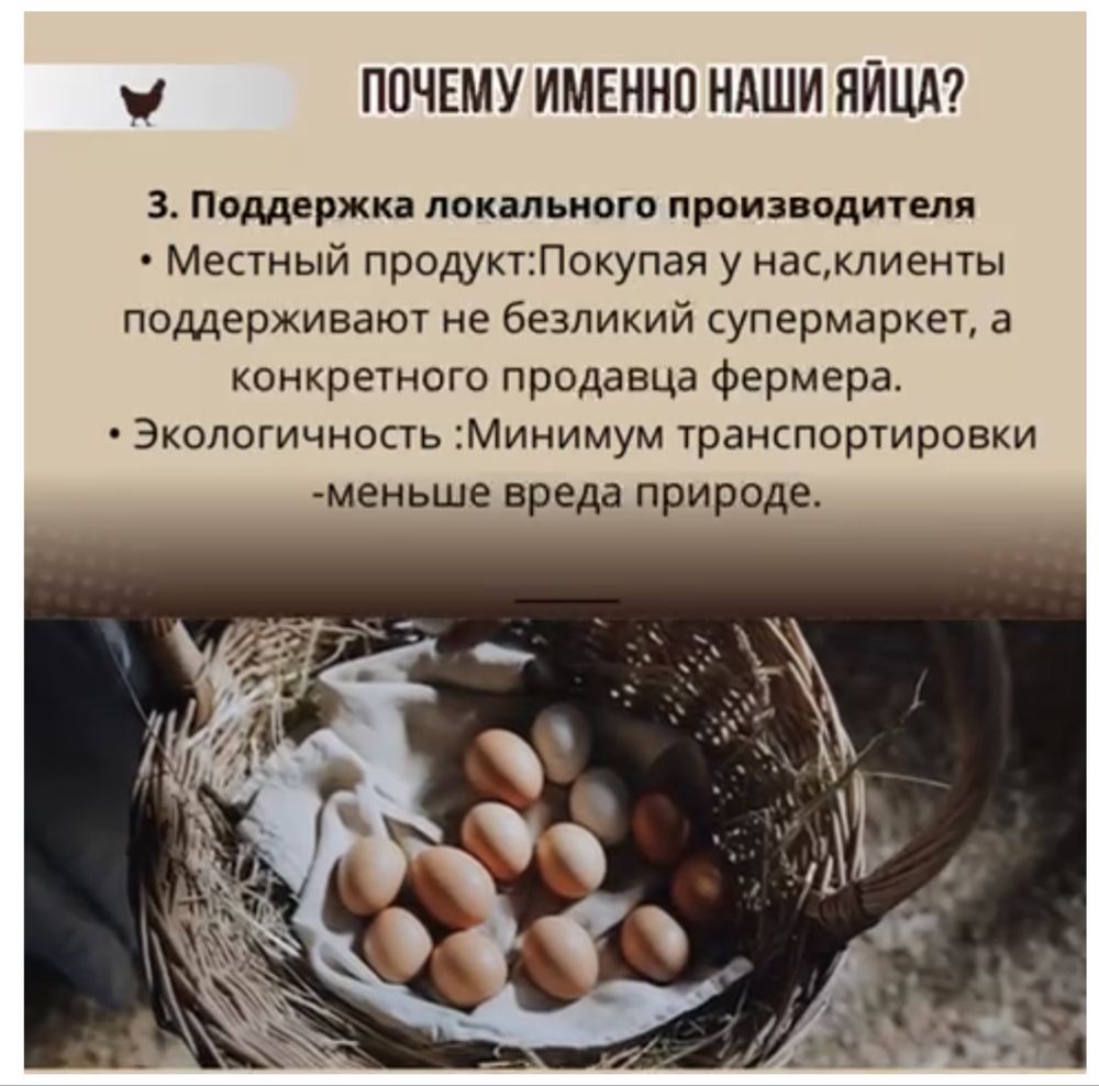 Домашние яйца халал