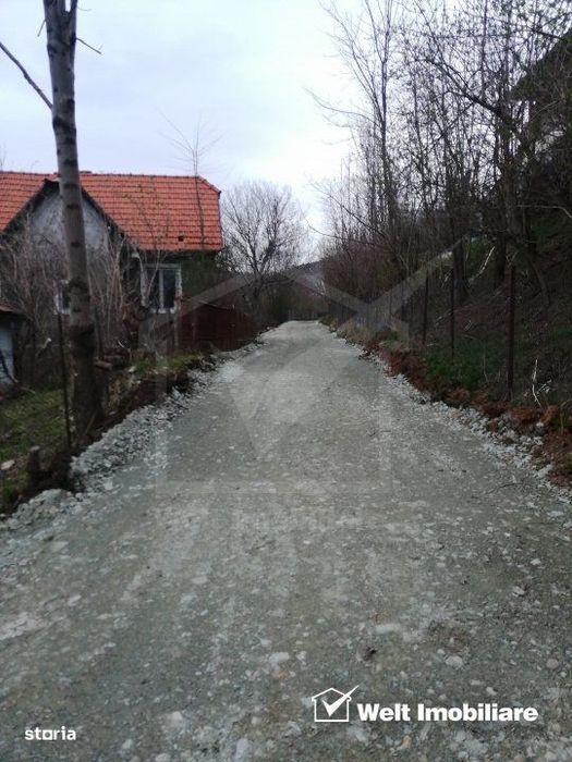 Teren intravilan in suprafata de 1000 mp, Ciurila