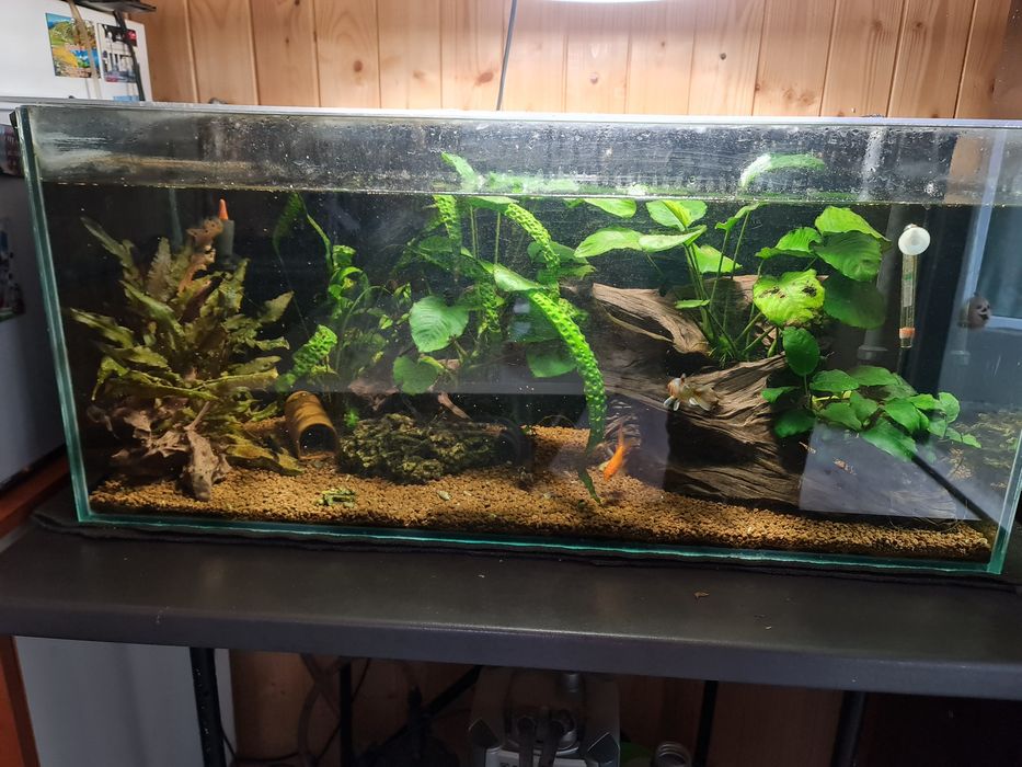Acvariu 120 L complet