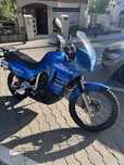 Honda Transalp XL600v