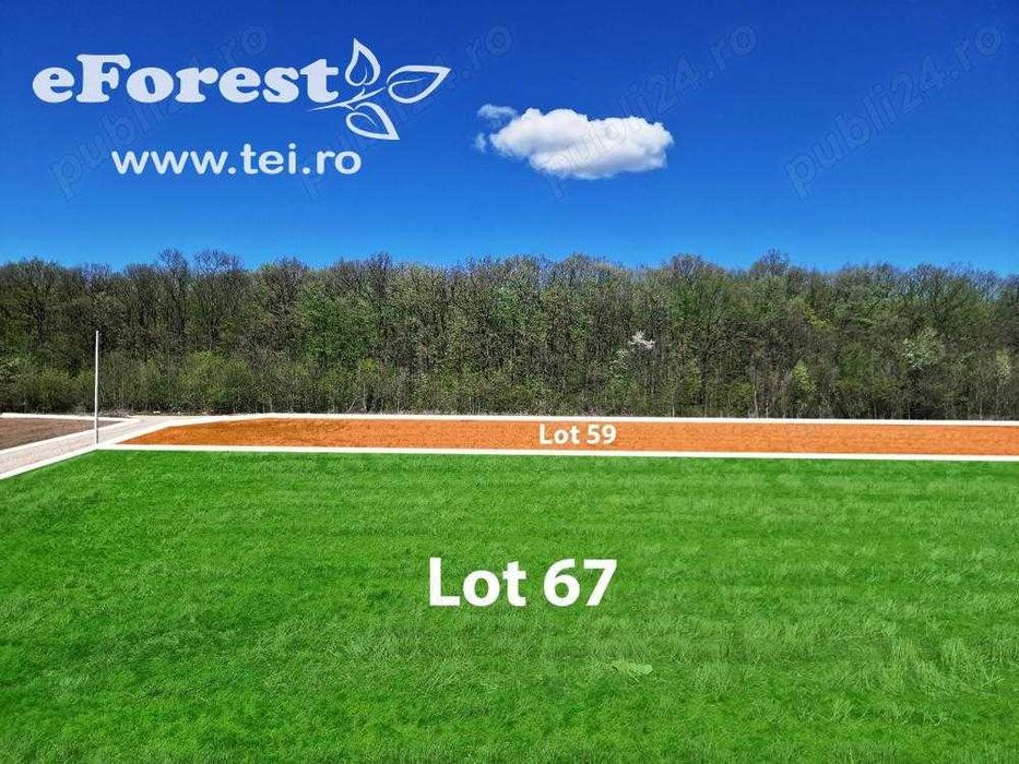 Loturi de casă 720 - 900 mp, langă Pădure în eForest, acces asfaltat
