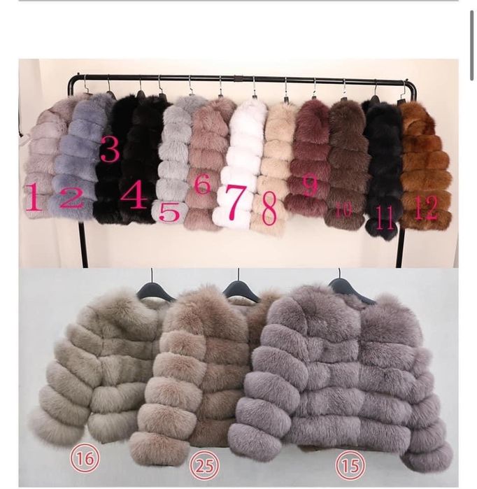 haine de blana vulpe