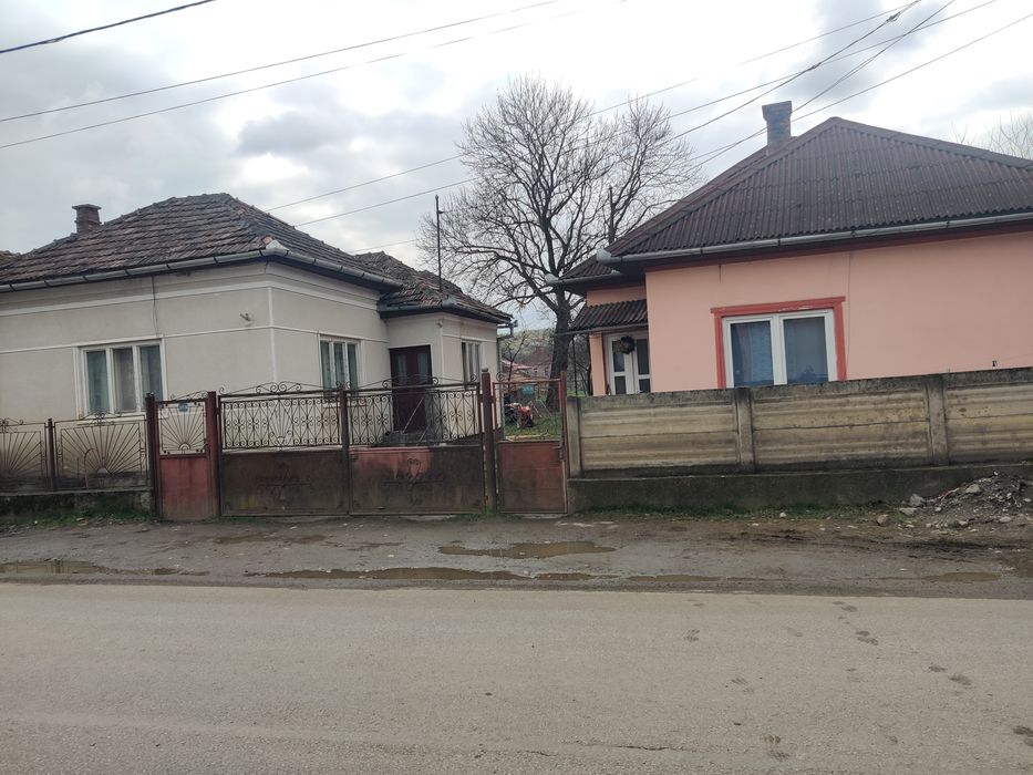 Vand case care au curte comuna