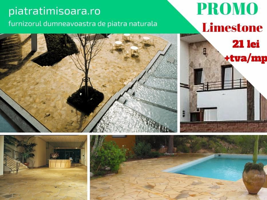 Piatra Timisoara-Limestone-piatra unica in lume