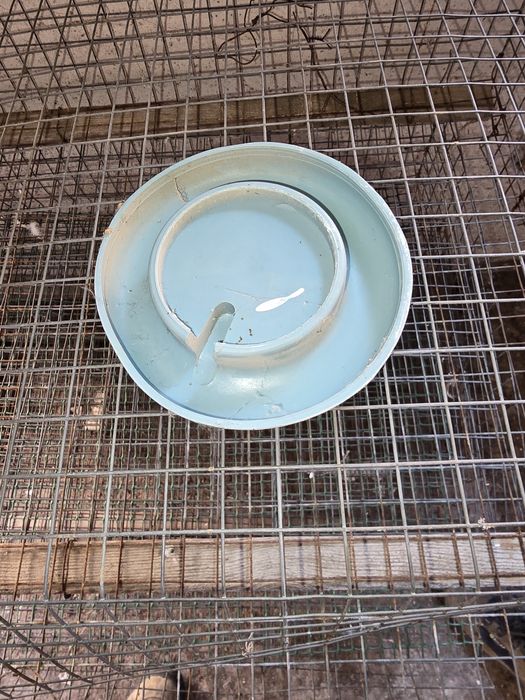 Пойлка для птенцов гусей, индюков, уток