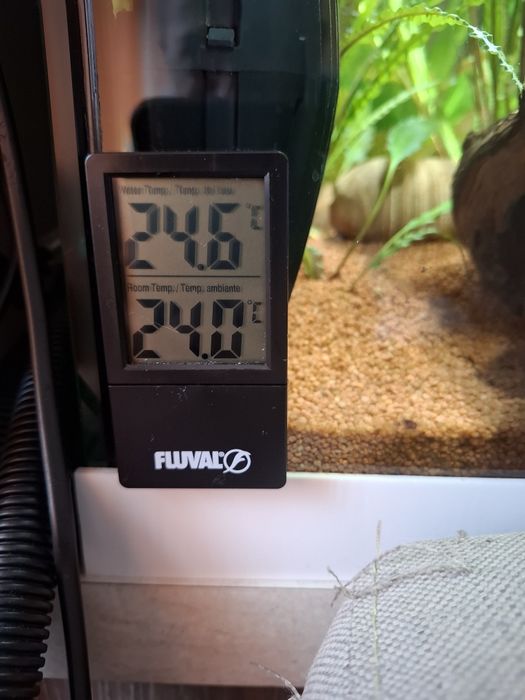 Аквариум СПЕШНО !!!