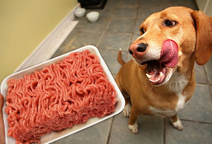 Фарш из субпродуктов говяжьих - корм мясо для собак и кошек