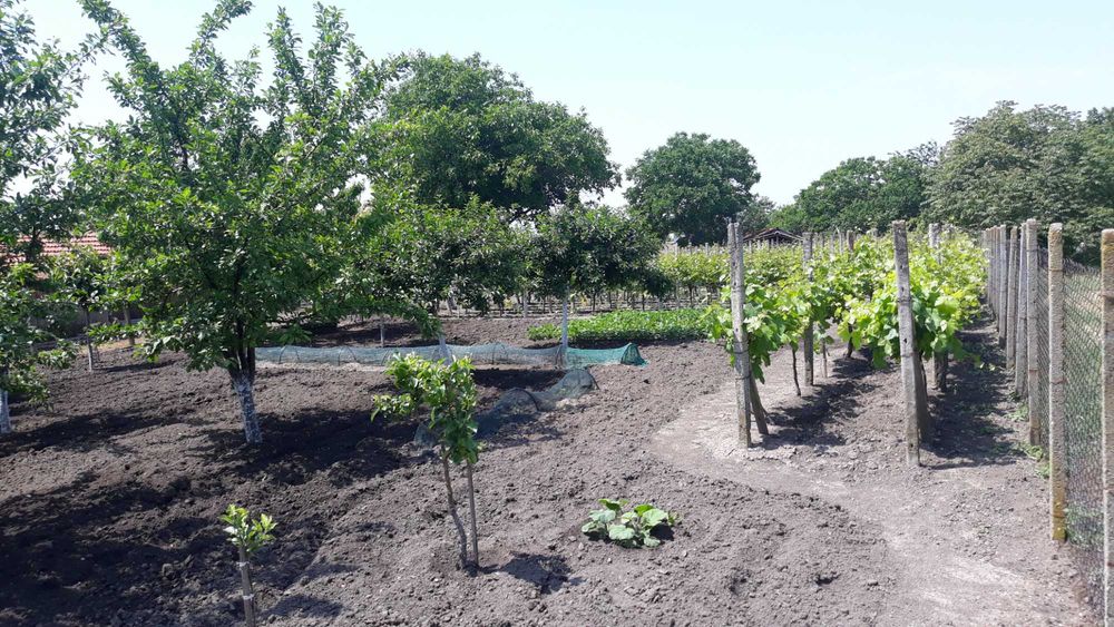 Продава се Парцел в с. Безмер, Област Ямбол - 850 кв.м за 21 €/кв.м - Снимка #8