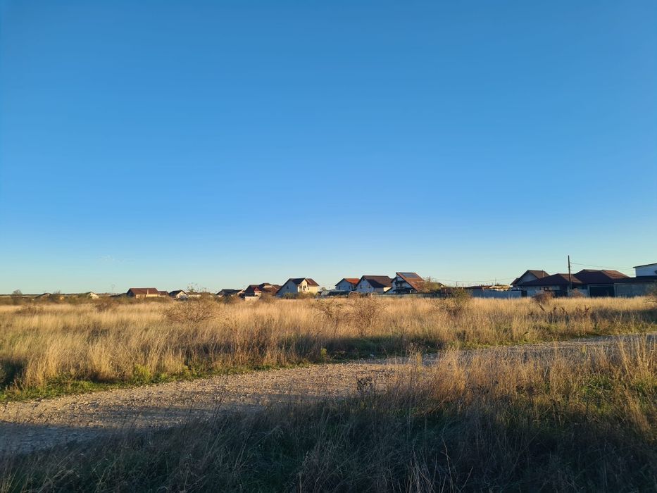 Loturi teren Narcise Tg-Jiu