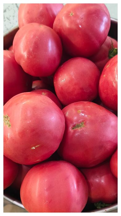 Стари селски сортове домати,краставици и други