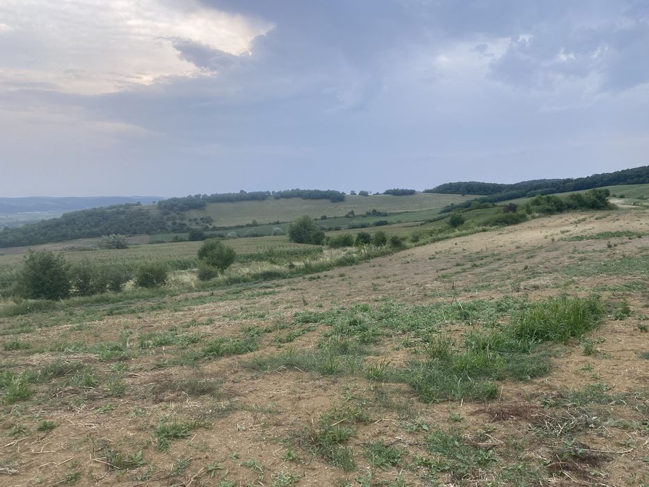 Teren watman 1500 m2