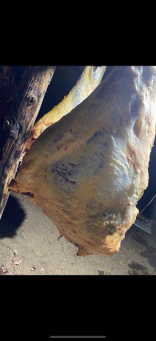 Согым кашар, 2850 тг кг