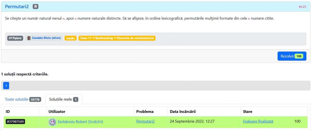 Meditații Informatică Bacalaureat – Online și Fizic