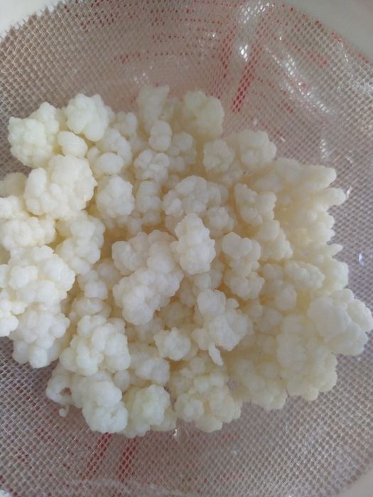 Vând kefir de lapte