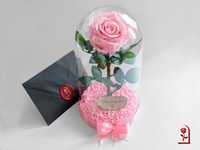 Естествена Вечна Роза в Стъкленица / Уникален Подарък за Жена / Момиче