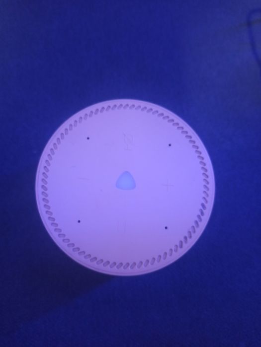 Яндекс Алиса лайт