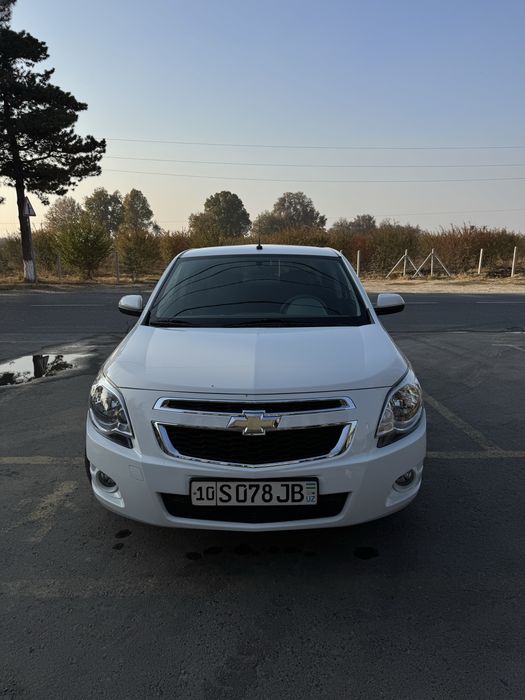 Cobalt 2024-yil kraska tozza