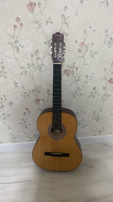 Гитара, каподастр и чехол