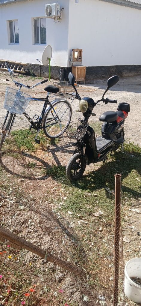 Продам мопед срочно