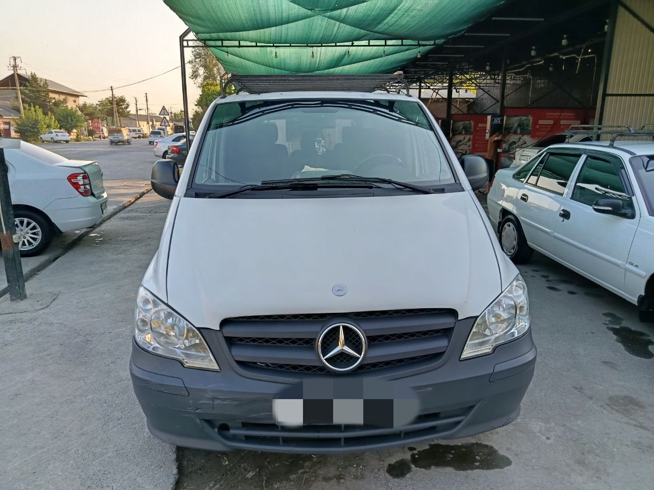 Mersides bens vito