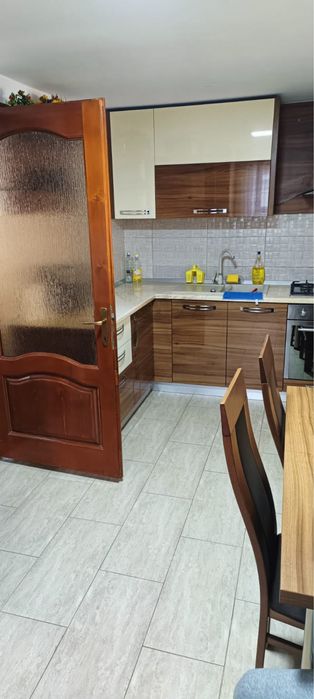 Vila de inchiriat BORȘA MM!