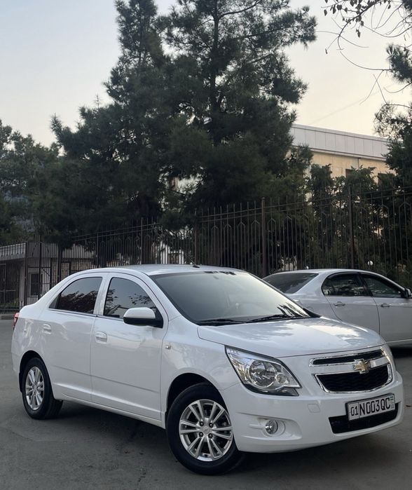 Cobalt Arendaga beriladi