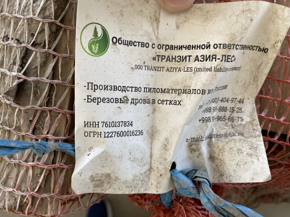 Дрова береза Россия