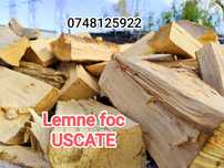 Lemne foc USCATE fag carpen frasin
