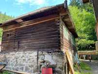 Vand lemn  de fag pt cabana sau casa (trebuie desfacuta)