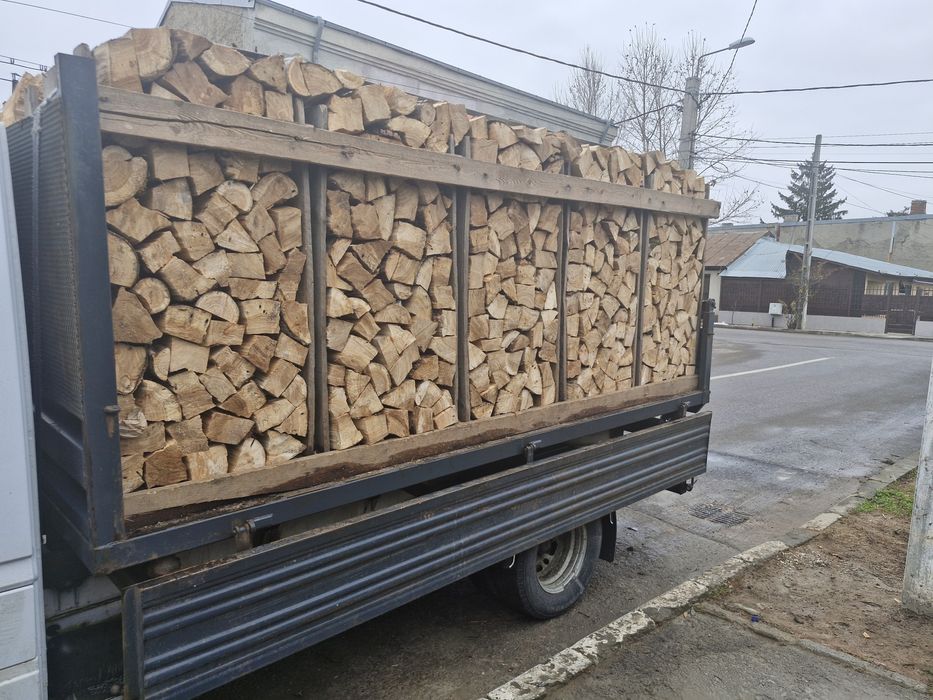 Lemne de foc la palet Esență tare fag stejar