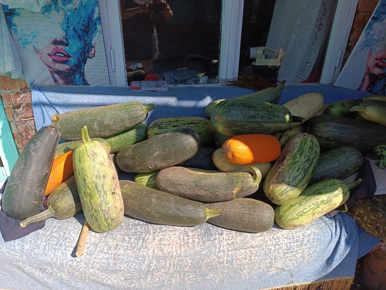 Продам тыкву и кабачки разных размеров.