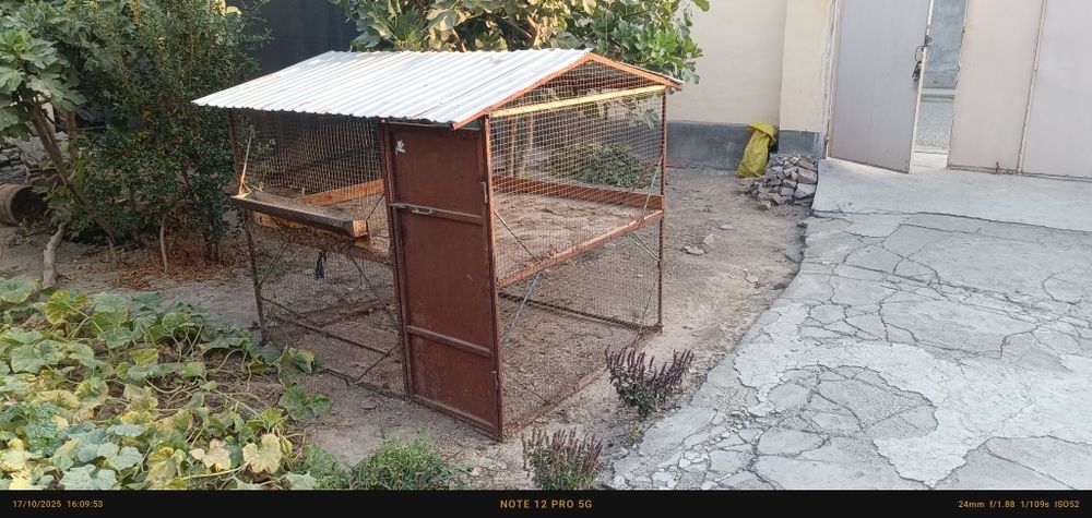 Tovuq katak 2 qavatli arzonga beriladi