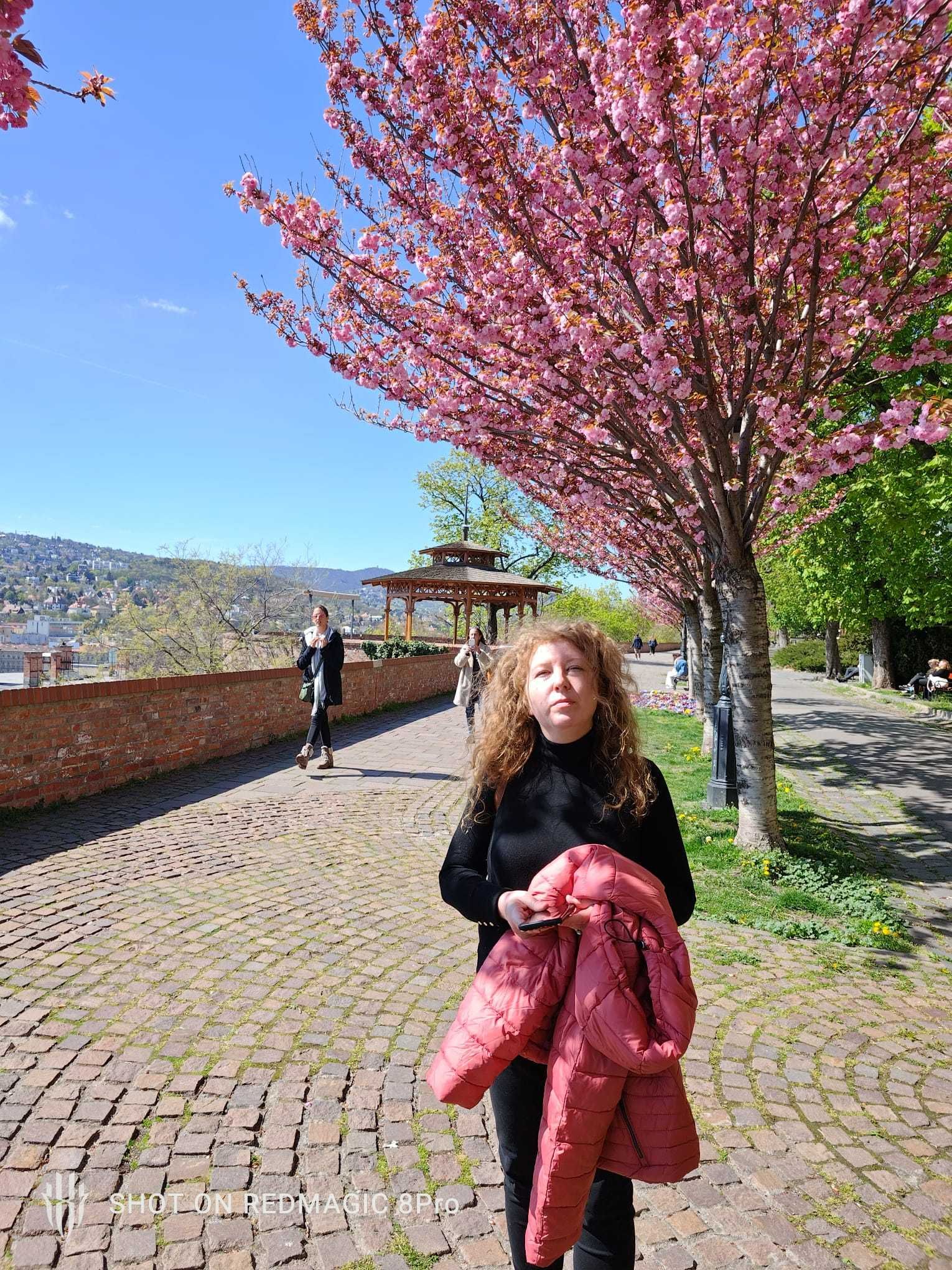 Meditatie limba engleza online sau fizic