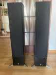 Boxe Yamaha NS-555