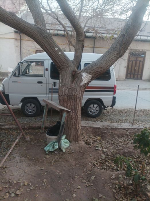 Дамас.2014.иил.и