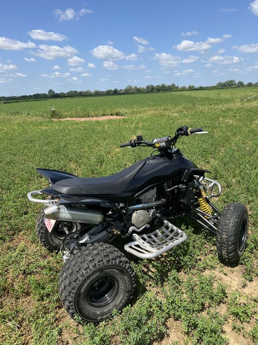 Atv/Quad GasGas Wild Hp 450