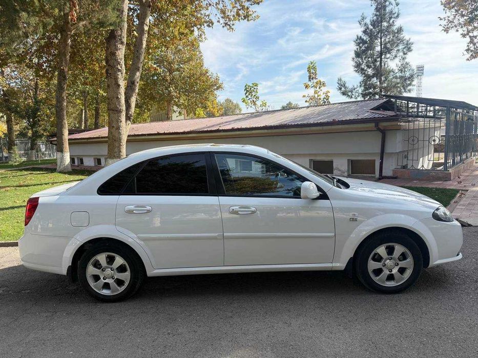 Жентра 2019 йил тоза