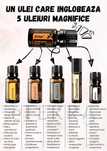 Doterra essential oils