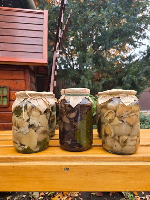Продам грибы маринованные