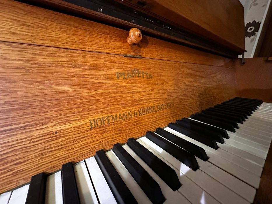 pian rustic cu pedale