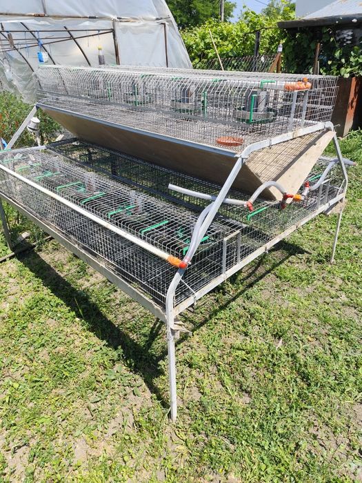 Cușcă iepuri ingrasare