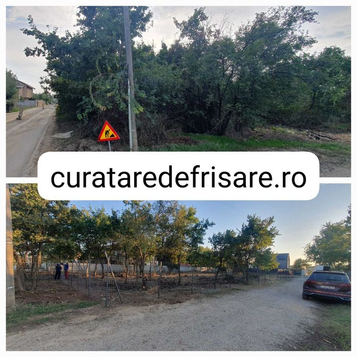 Curatare teren / defrisare / nivelare/ imprejmuire /intretinere anuala