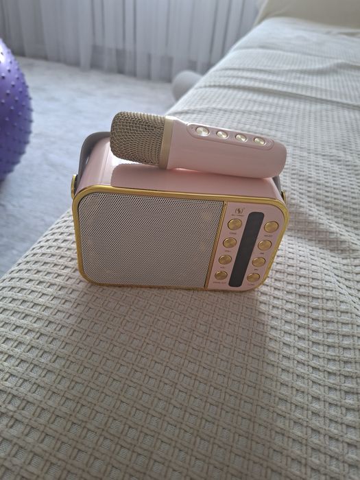 Колонка с микрофоном