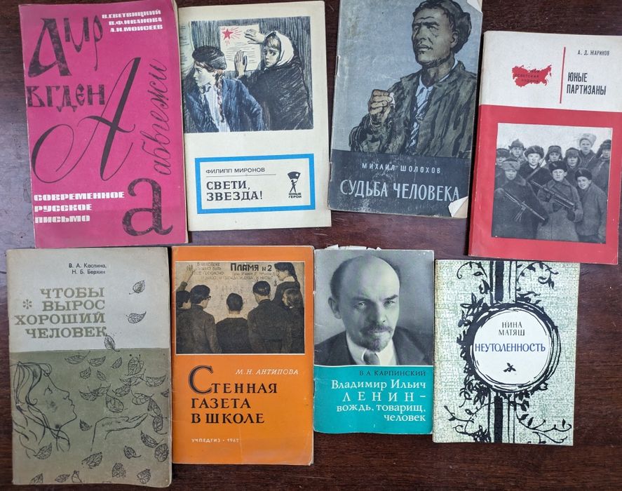 Книги по  литературе, русскому языку и другие