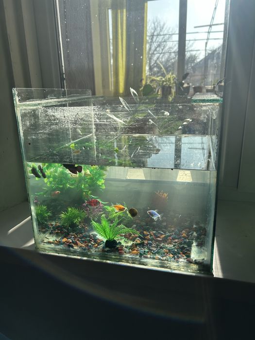 Аквариюм сатылады