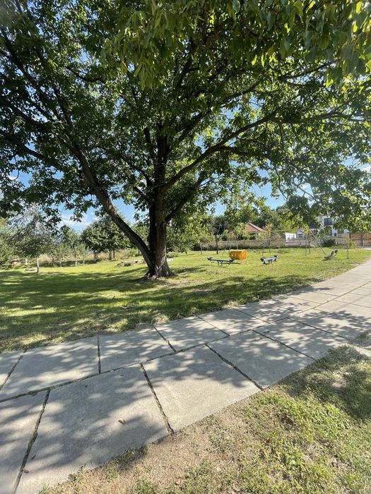 Casă de vanzare + teren de 3500 mp in Arpasu de Sus judetul Sibiu