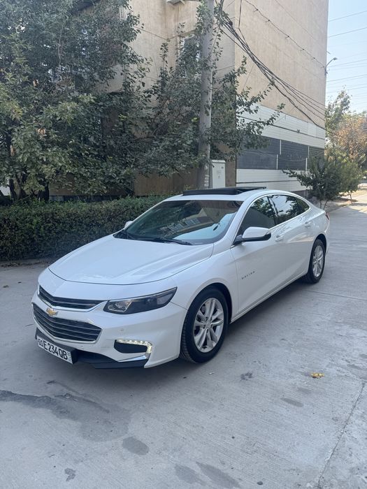 Malibu 2,4 Atmasfer Mator Kraska Toza