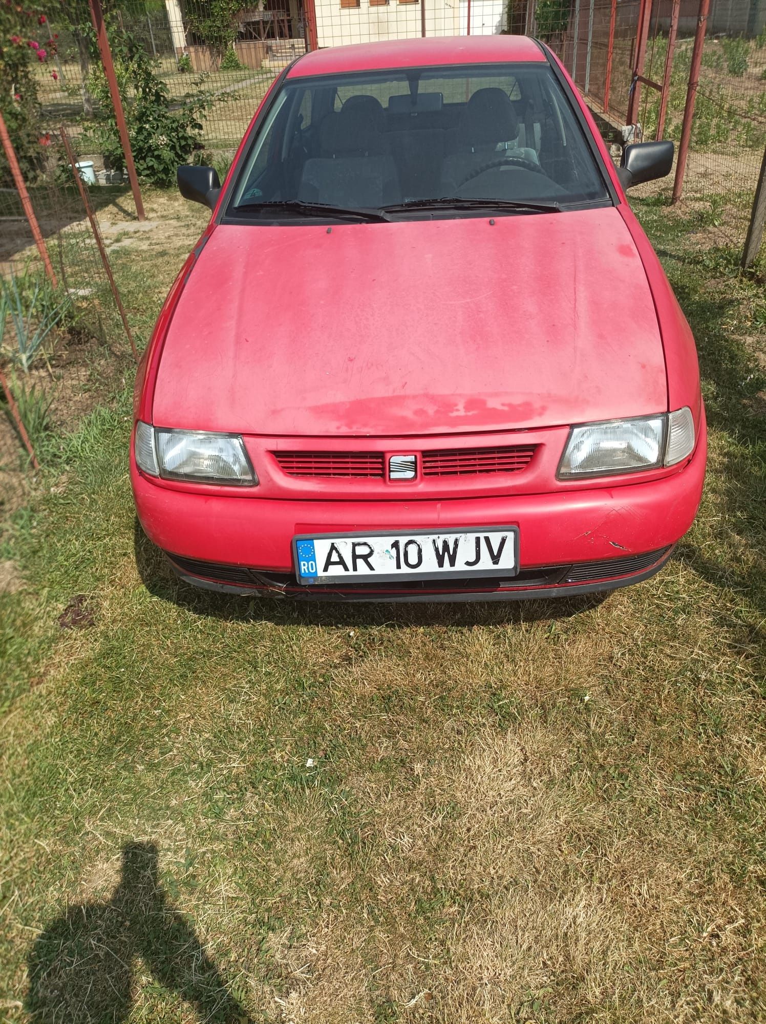 Seat Ibiza benzina