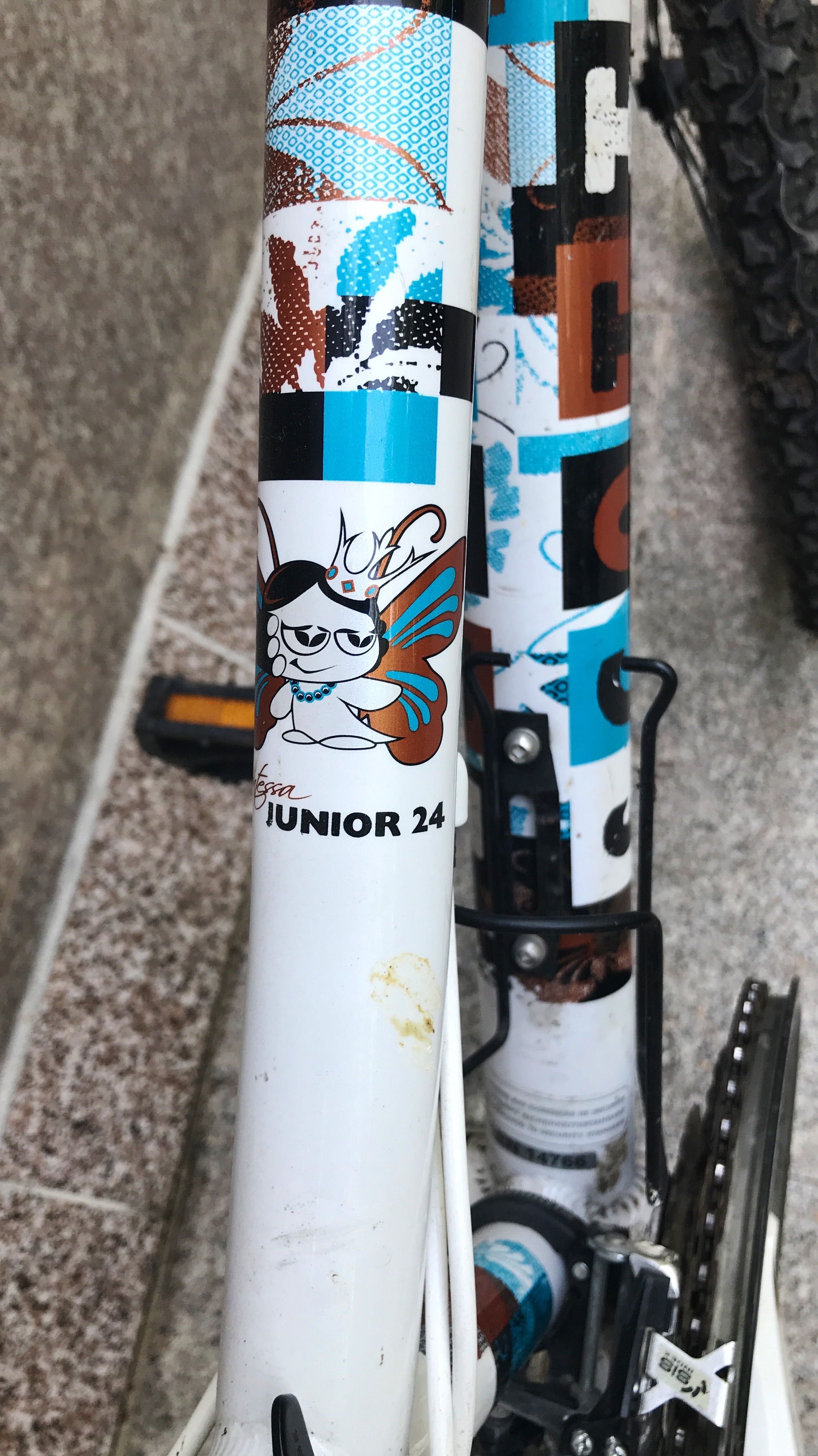 Scott Contessa Junior 24 колело