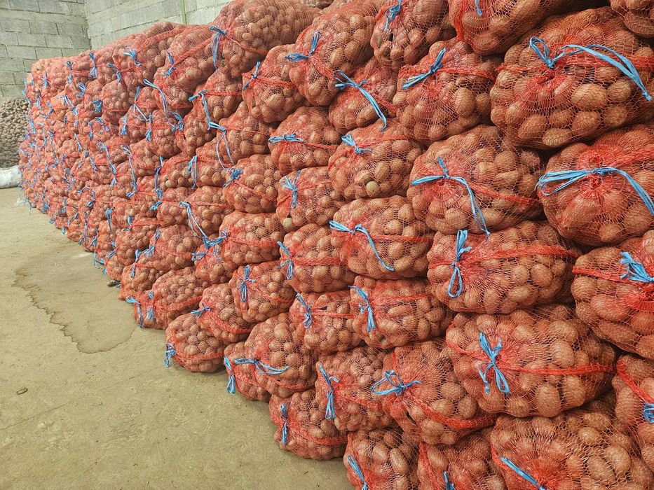 Cartofi samanta ESMME de calitatea I-a